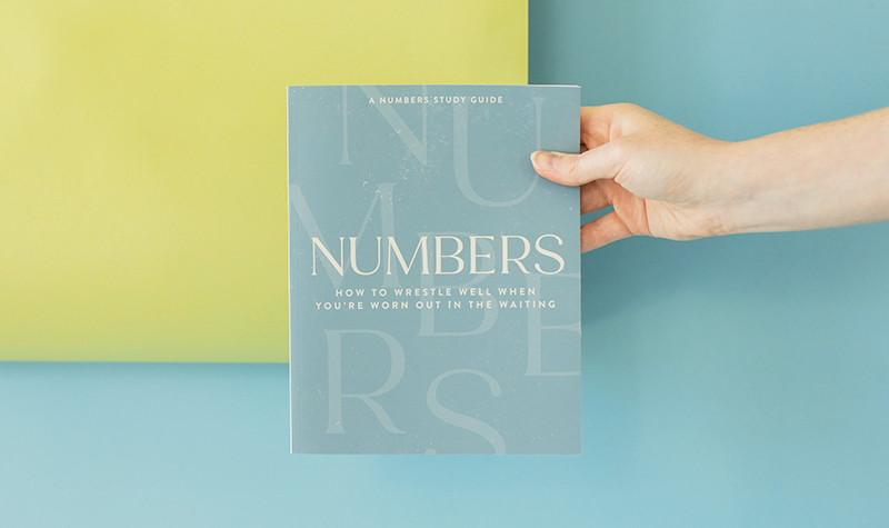Numbers First Five Bible Study